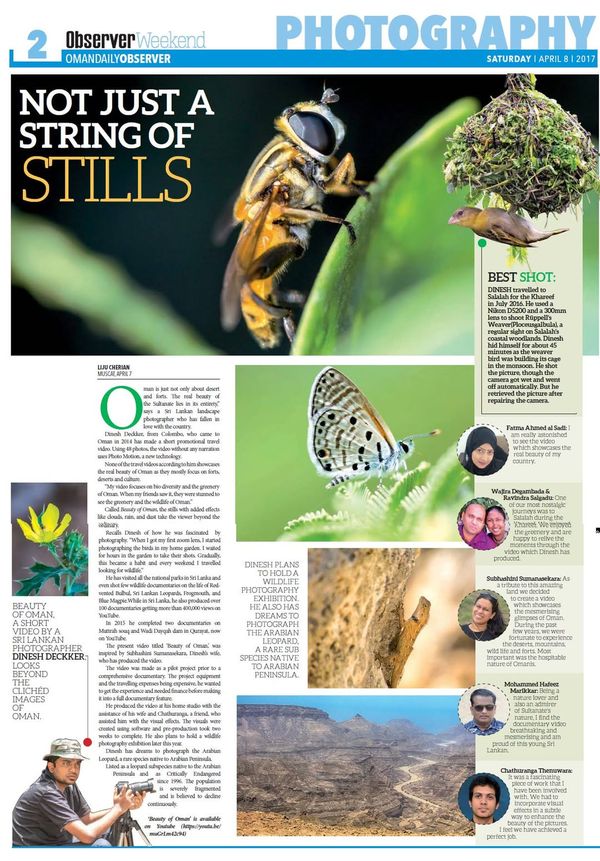 Oman Daily Observer feature: Not Just a String of Stills